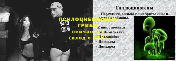 не бодяженный Алексин