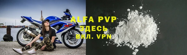 стаф Абинск