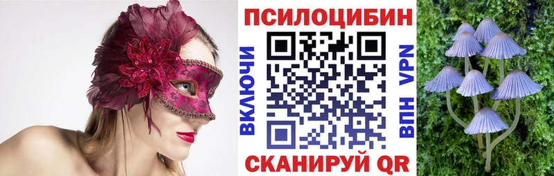 Псилоцибиновые грибы Cubensis  Ипатово 