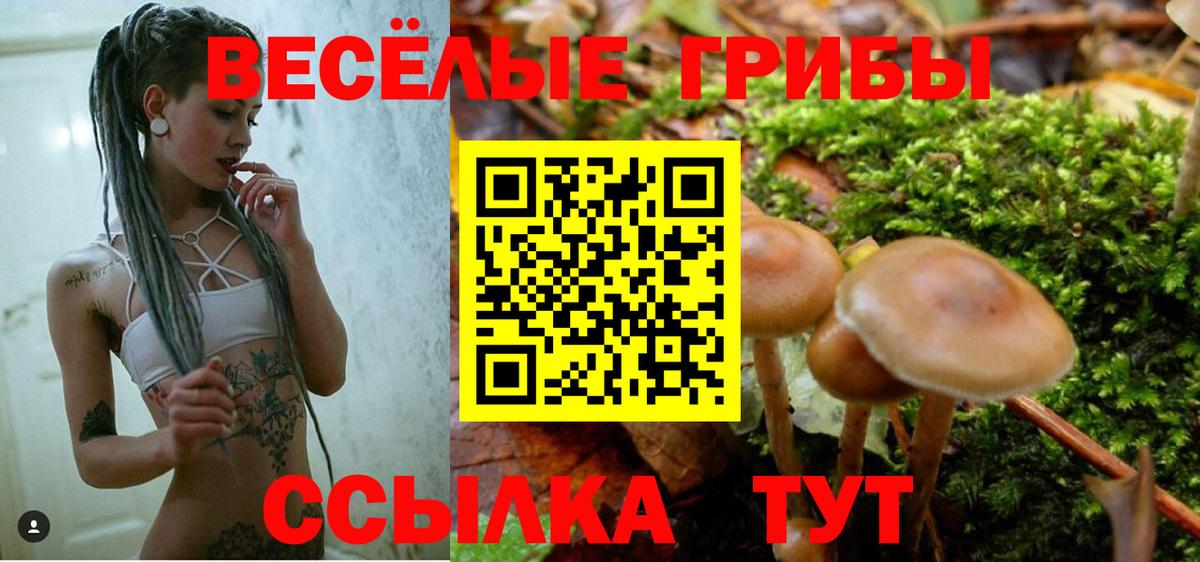 Псилоцибиновые грибы мухоморы  Вход с VPN  Галлюциногенные грибы GOLDEN TEACHER  Ипатово 