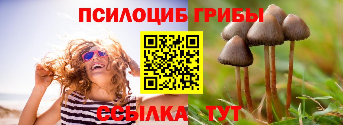 Псилоцибиновые грибы Cubensis Ипатово