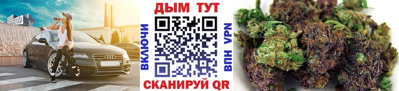 Канабис Bruce Banner  где найти   Ипатово 